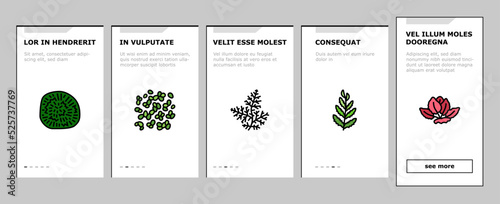 Aquatic Seaweed Natural Plant onboarding icons set vector