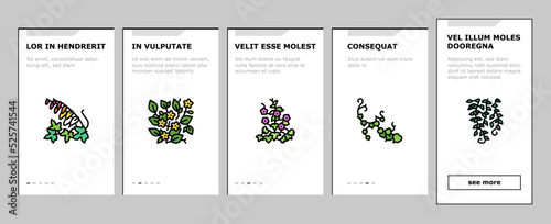 Vine Liana Exotic Growing Plant onboarding icons set vector photo