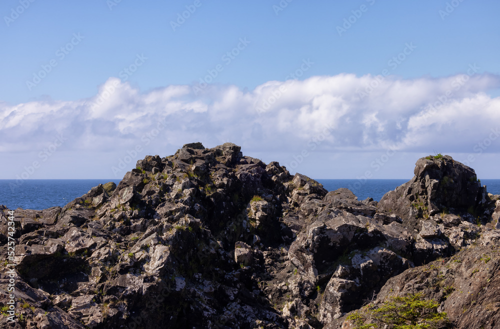 Rugged Rocks on a rocky shore on the West Coast of Pacific Ocean. Summer Morning Sky. Ucluelet, Vancouver Island, British Columbia, Canada. Nature Background