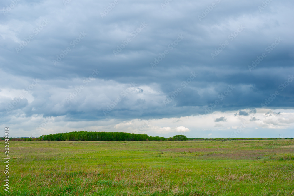 picturesque steppe landscape in summer before rain