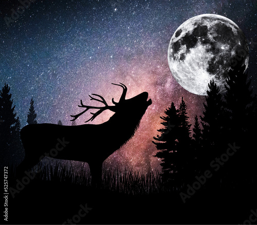 Northern Lights Night Sky Galaxy with Deer Stands photo