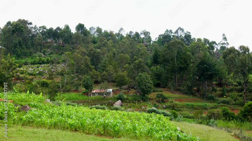 Rural African Village And Agriculture Farm Rural African Village And Agriculture Farm