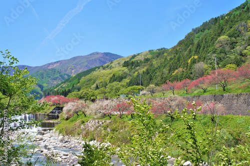 新緑の阿智村【長野県下伊那郡】