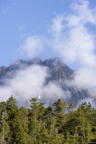 Canadian Nature Landscape with trees and mountains. Sunny Summer morning. Near Tofino and Ucluelet, Vancouver Island, BC, Canada. Background.