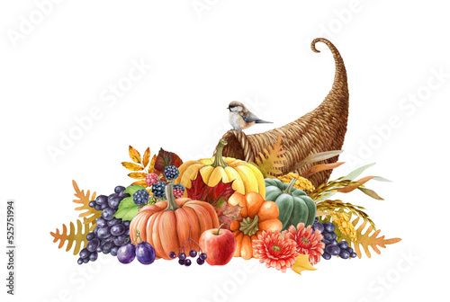 Harvest cornucopia watercolor illustration. Hand drawn festive thanksgiving cornucopia with pumpkins, grapes, apples, autumn flowers and leaves. Autumn seasonal decoration. White background photo