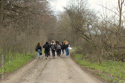 people walking in the forest