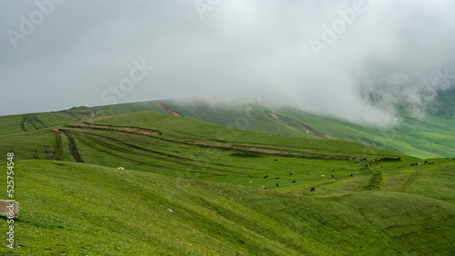 Green mountain hills under clouds. Cloudy mountains