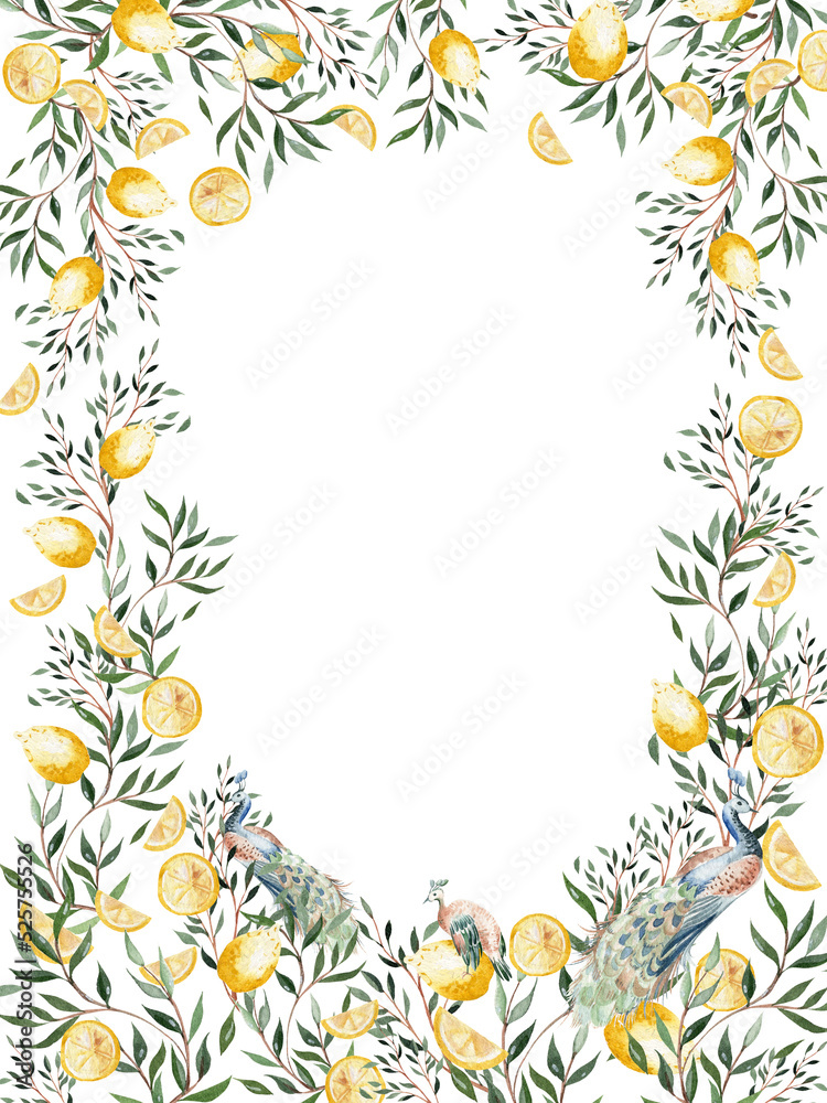 Watercolor frame with citrus fruits and leaves, birds peacoc. Illustration