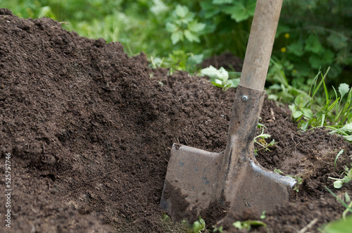 Shovel digging garden bed or farm. Farming, gardening, agriculture and people concept