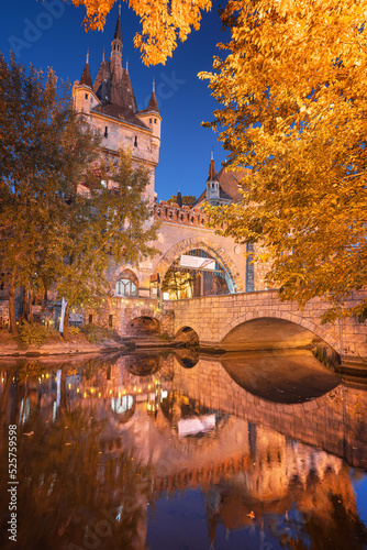 View on Vajdahunyad castle ...