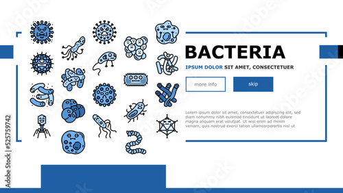 bacteria virus bacterium cell landing header vector