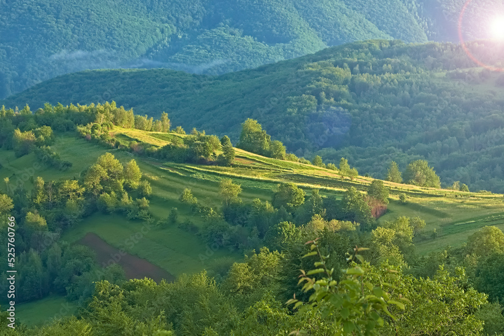 Bright rolling countryside the morning light. Picturesque day and gorgeous scene. Location place Carpathian, Ukraine, Europe. Concept ecology protection. Explore the world nature freshness concept
