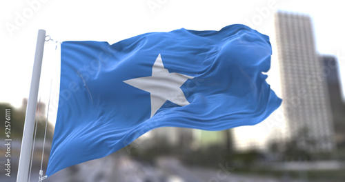 Cuadro en lienzo 3d illustration flag of Somalia. flag symbols of Somalia.