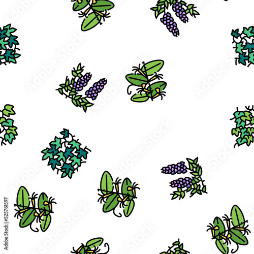 Vine Liana Exotic Growing Plant vector seamless pattern