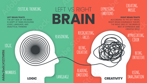 Left Brain vs. Right Brain Dominance infographic template. How the human brain works theory. Creative people right-brained and analytical thinkers left-brained concept.Visual slide presentation vector