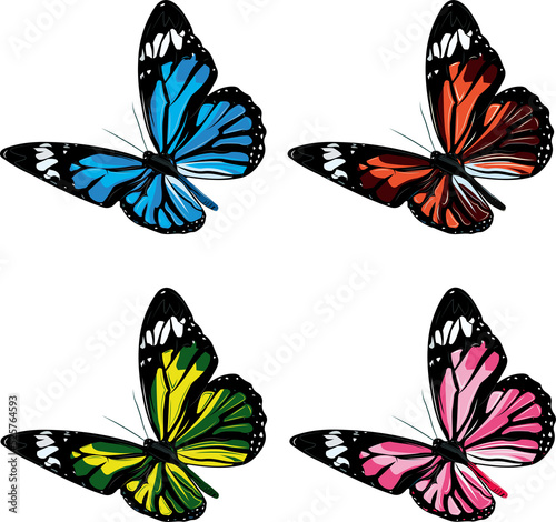 4 color PNG butterflies with a transparent background