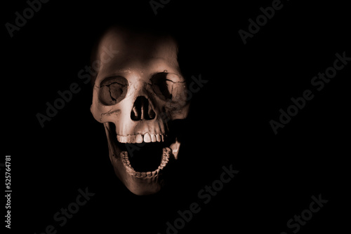 human skull in the shadow