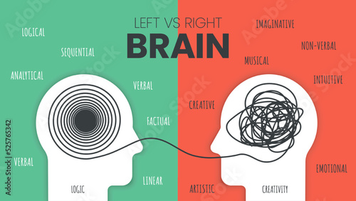 Left Brain vs. Right Brain Dominance infographic template. How the human brain works theory. Creative people right-brained and analytical thinkers left-brained concept.Visual slide presentation vector