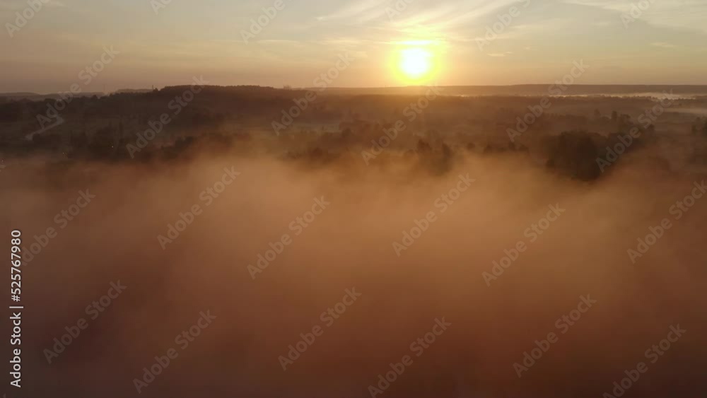Feld und Bäume im Nebel bei einem Sonnenaufgang. Feld und Bäume im Nebel bei einem Sonnenaufgang.