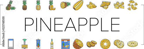 pineapple fruit tropical food icons set vector
