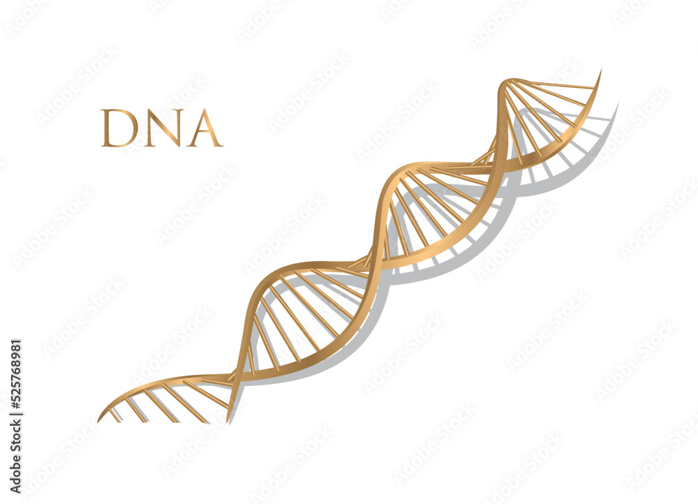 vector dna 3d gold on white background vector dna 3d gold on white background