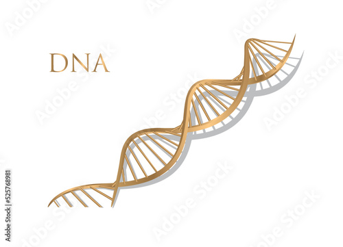 vector dna 3d gold on white background