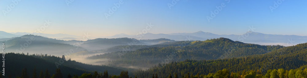 Sunrise in Carpathian mountains. Silhouettes of mountain peaks and morning fog. Dense forest in the foreground.