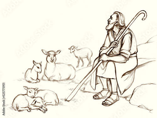 Shepherd with a sheeps on the field