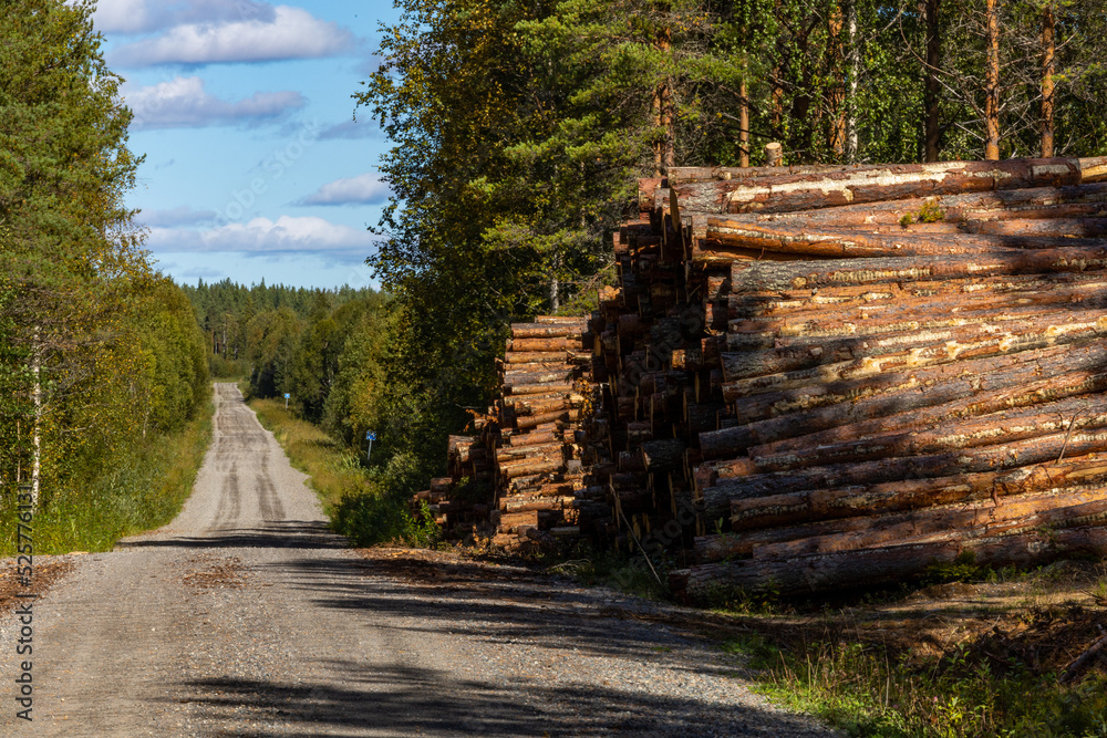 Arvidsjaur, Sweden fresh cut timber piled high on the side of a dirt road. Arvidsjaur, Sweden fresh cut timber piled high on the side of a dirt road.