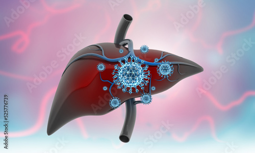 Virus attack on human liver. Liver with virus. 3d illustration..