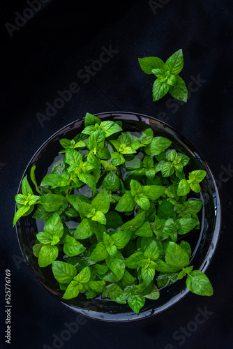 Fresh peppermint twig mint on a black plate on a dark black background with a place for your text. top view  copy space.