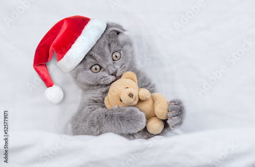 Cozy kitten wearing red santa hat lying under white blanket and huging favorite toy bear