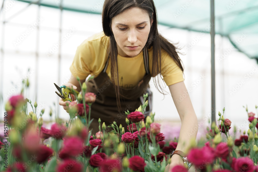 Young florist in apron working in greenhouse. Women profesions, working with flowers.