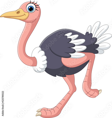 Cartoon ostrich running on white background photo