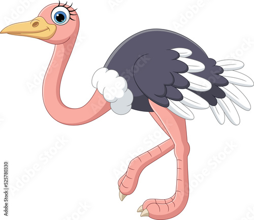 Cartoon ostrich on white background
