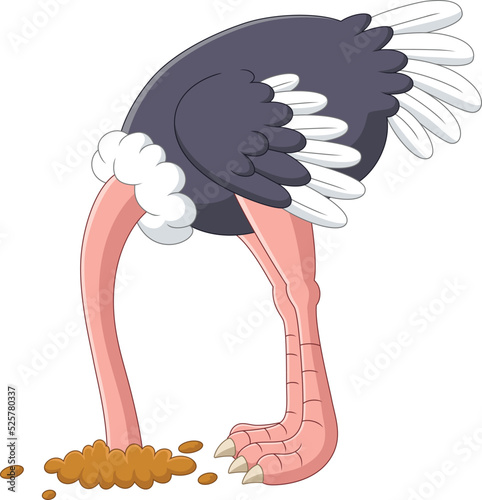 Ostrich hiding its head in the hole