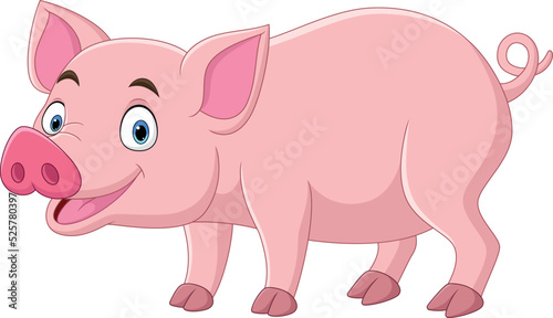 Cartoon funny pig on white background