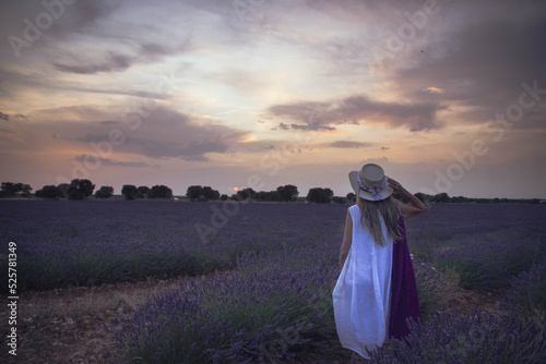 atardecer en los campos de lavanda