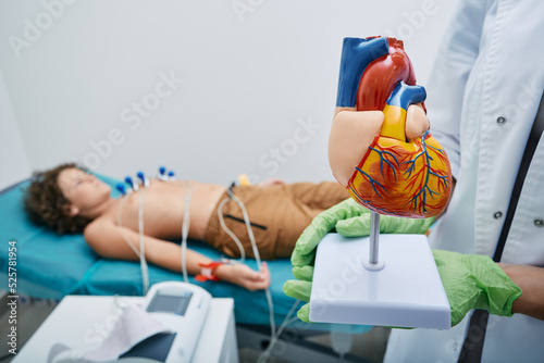 Obraz na plátne Anatomical model of human heart in doctor's hands over background of male child lying on bed during ECG procedure