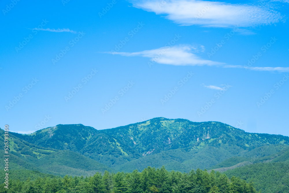 嬬恋高原の夏の青空と緑の山々