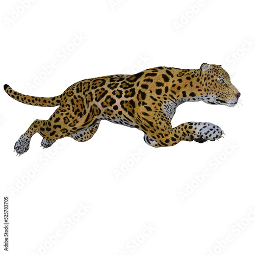 Fototapeta Naklejka Na Ścianę i Meble -  Jaguar 3d model illustration
