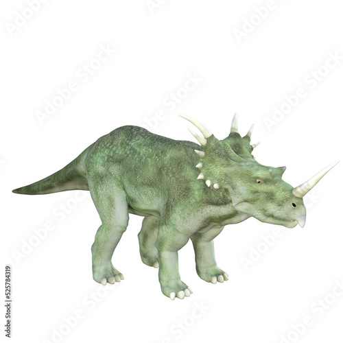 Triceratops dinosaur isolated 3d render