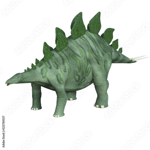 Stegosaurus dinosaur isolated 3d render © Blueinthesky