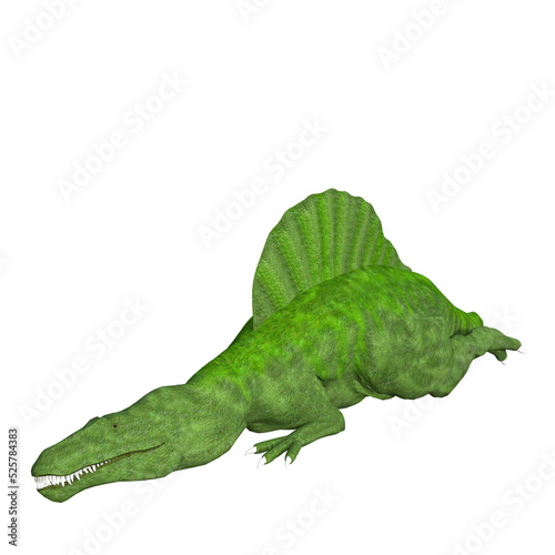 Spino dinosaur isolated 3d render