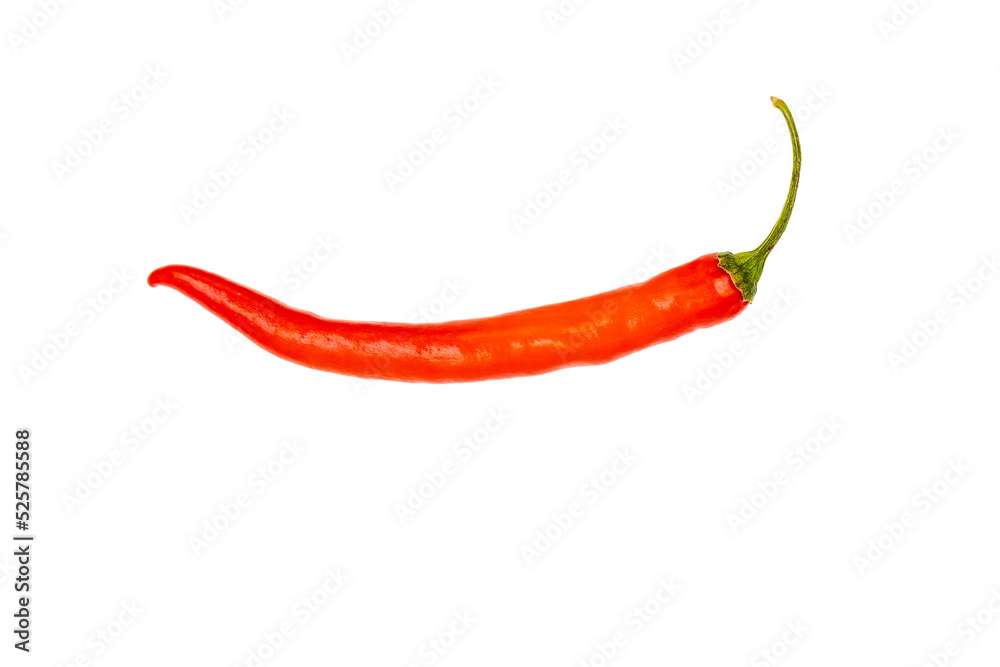 Red hot peppers. Spice pepper isolated on white background. Vegetable, healthy vegan food. close up Red hot peppers. Spice pepper isolated on white background. Vegetable, healthy vegan food. close up