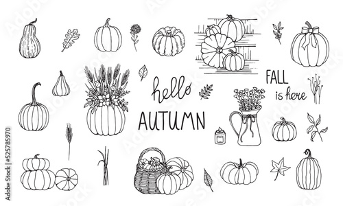 Hand drawn pumpkin with flowers branches and spikes. Set with vase candle. Decor for autumn interior. Black outline isolated on white.
