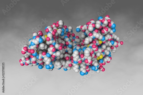 Myotoxin II from Bothrops moojeni co-crystallized with Varespladib. Space-filling molecular model on grey background. Rendering based on protein data bank entry 6pwh. 3d illustration