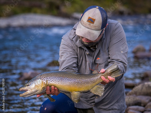 Brown trout caught fly fishing.