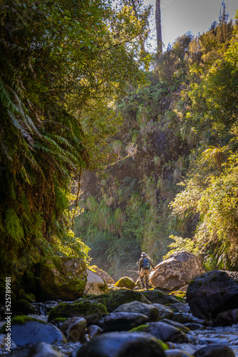 Fly fishing for trout.