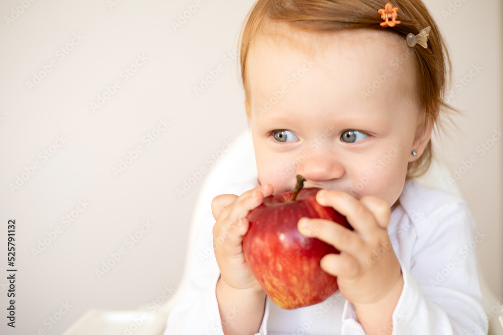 A cute red-haired baby girl in a high chair eats apple, drinks water. Children's food. Light background. Space for text. Lifestyle A cute red-haired baby girl in a high chair eats apple, drinks water. Children's food. Light background. Space for text. Lifestyle